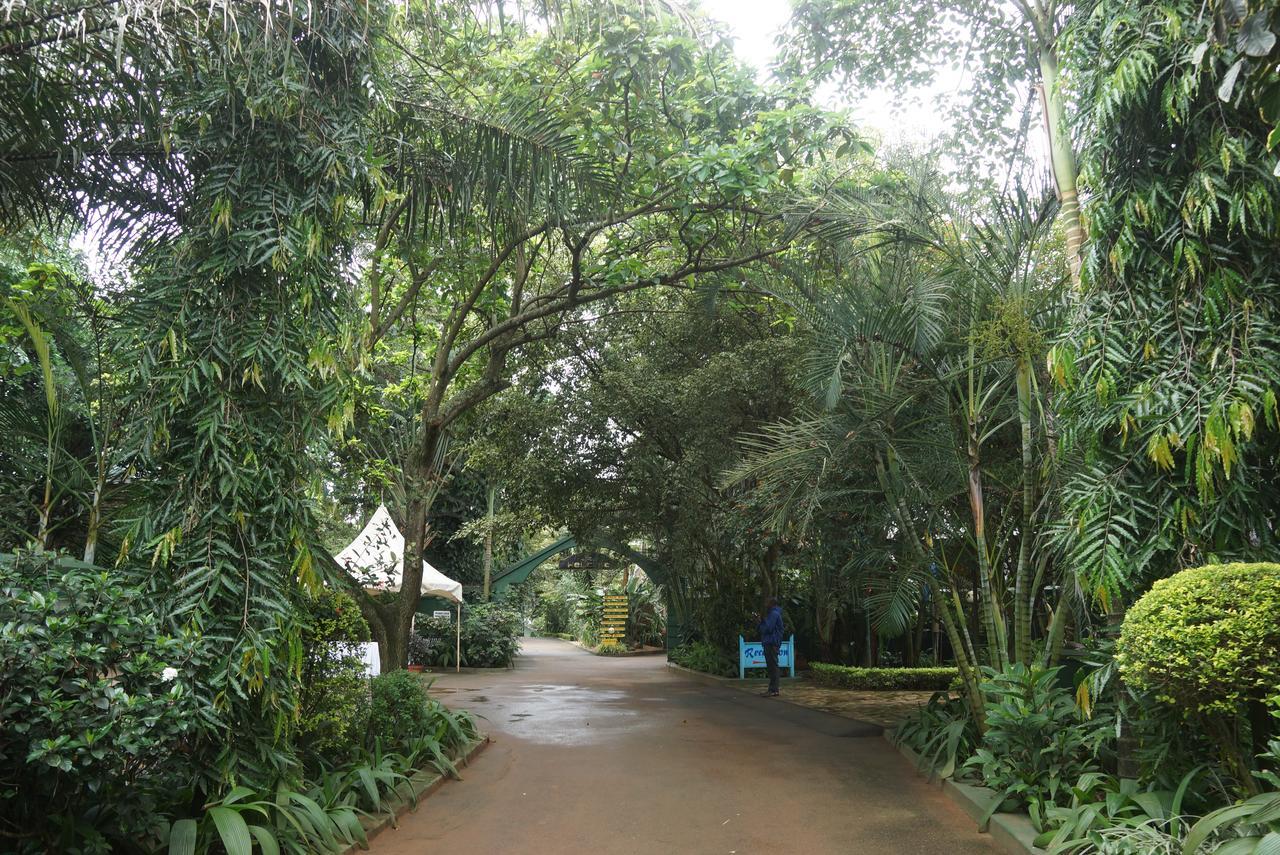 Country Lake Resort Garuga Entebbe Ngoại thất bức ảnh